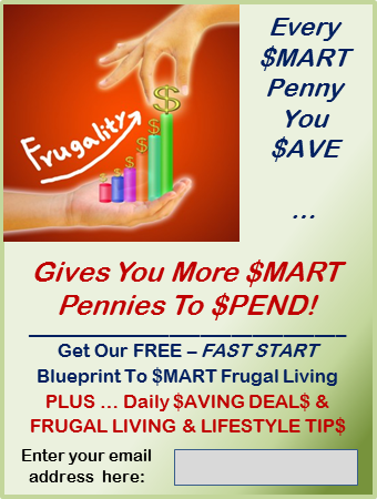 Frugal_Living_$MART_Living_FREE_Blueprint_Optin-banner_300x305_01